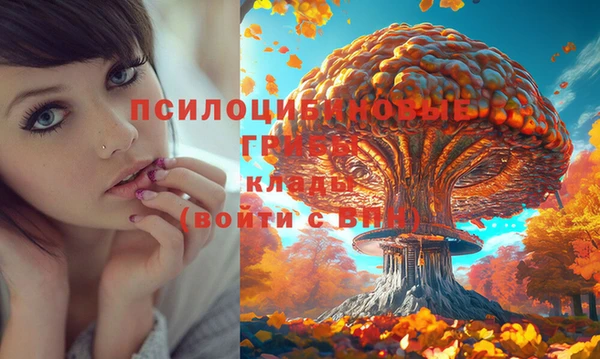 стаф Краснотурьинск