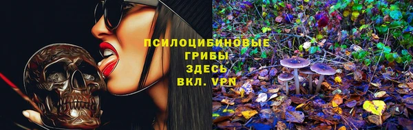 марки lsd Краснослободск