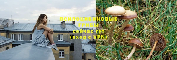 марки lsd Краснослободск