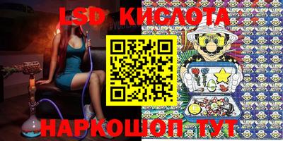 PSILOCYBIN Изобильный