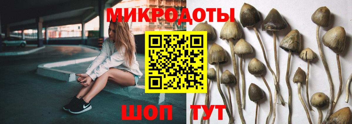 Псилоцибиновые грибы ЛСД  Вход с VPN  где продают   Самара  Галлюциногенные грибы Magic Shrooms 