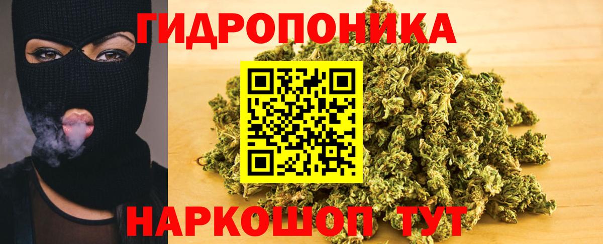 Бошки марихуана White Widow  Вход с VPN  Самара  Бошки марихуана семена  Конопля планчик  МАРИХУАНА Amnesia 